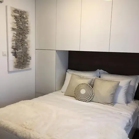 Вилла Luxury Reina Винишче